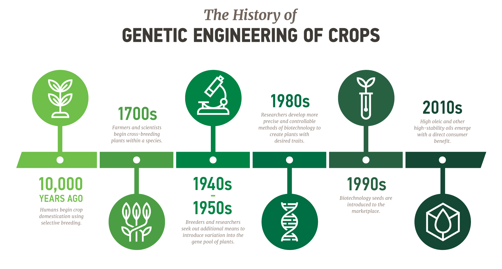 The History of Genetic Engineering of Crops