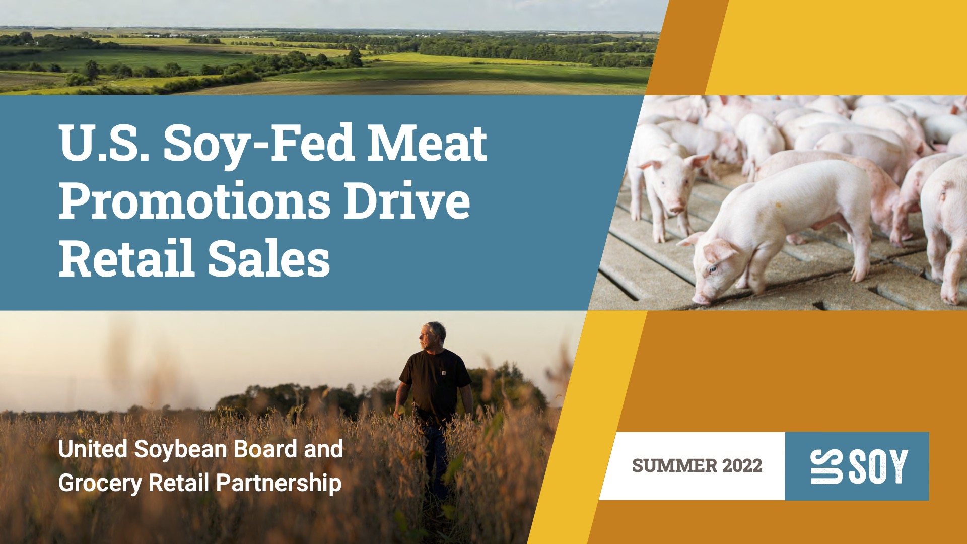 U.S. Soy-Fed Pork Promotions Drive Retail Sales