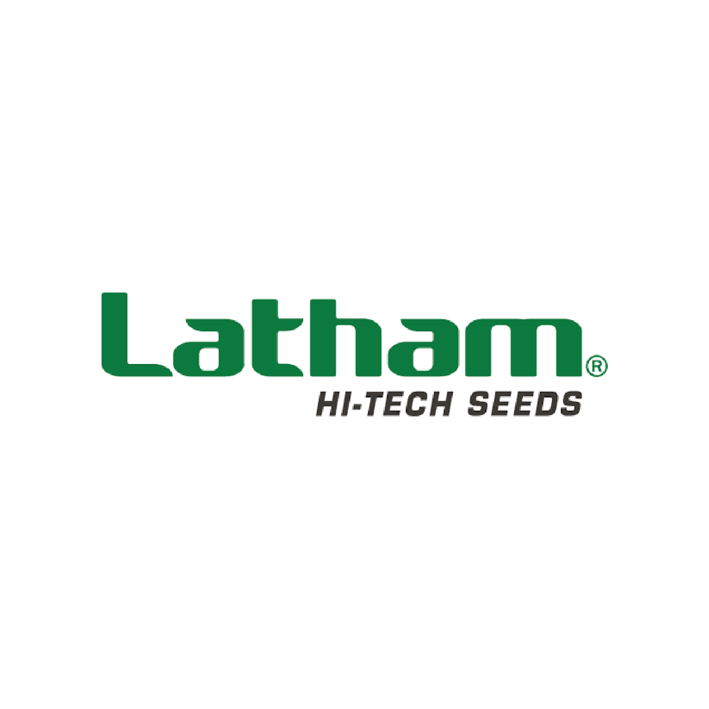 Latham Hi-tech seeds