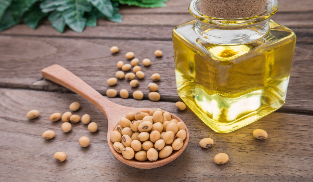 Soybeans in a spoon next to vegetable oil in a jar