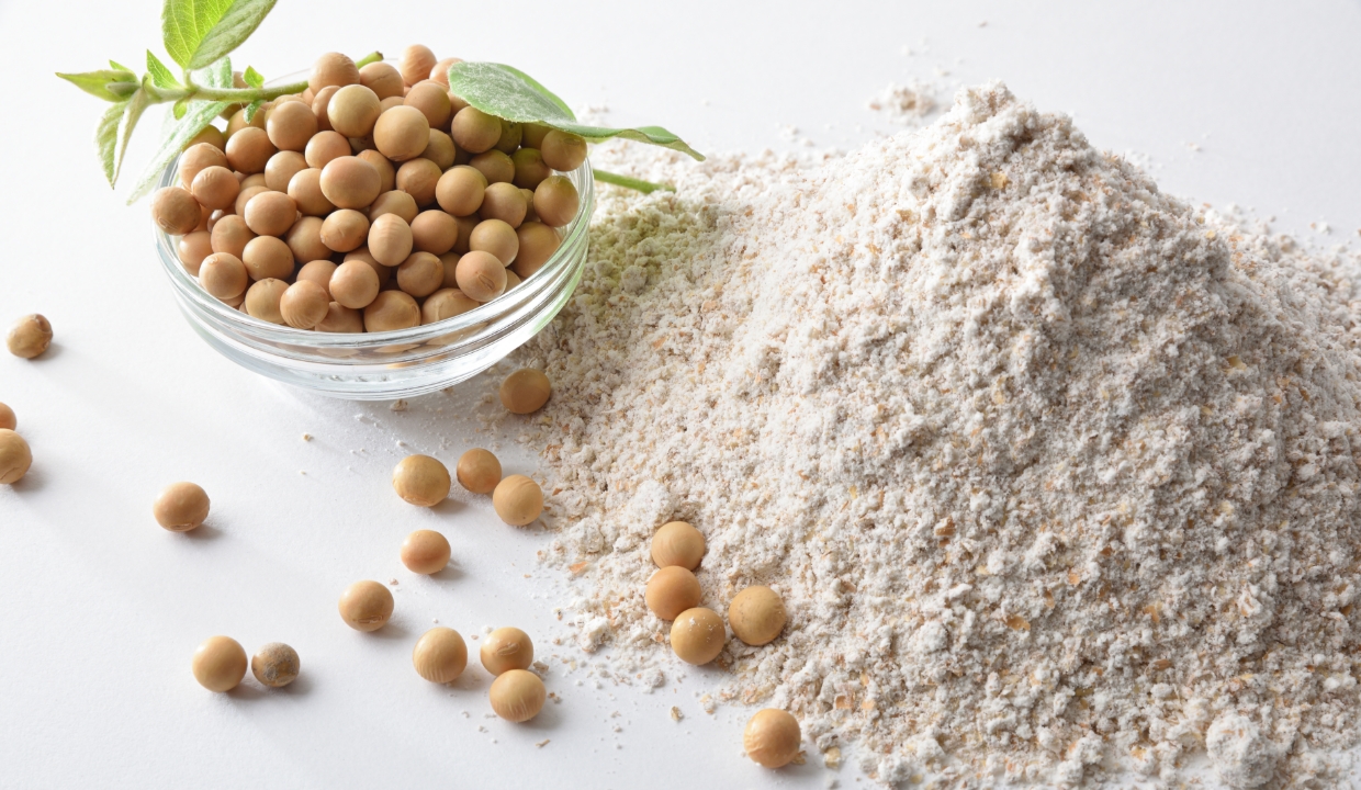 Soybeans in a bowl with soy flour next to it