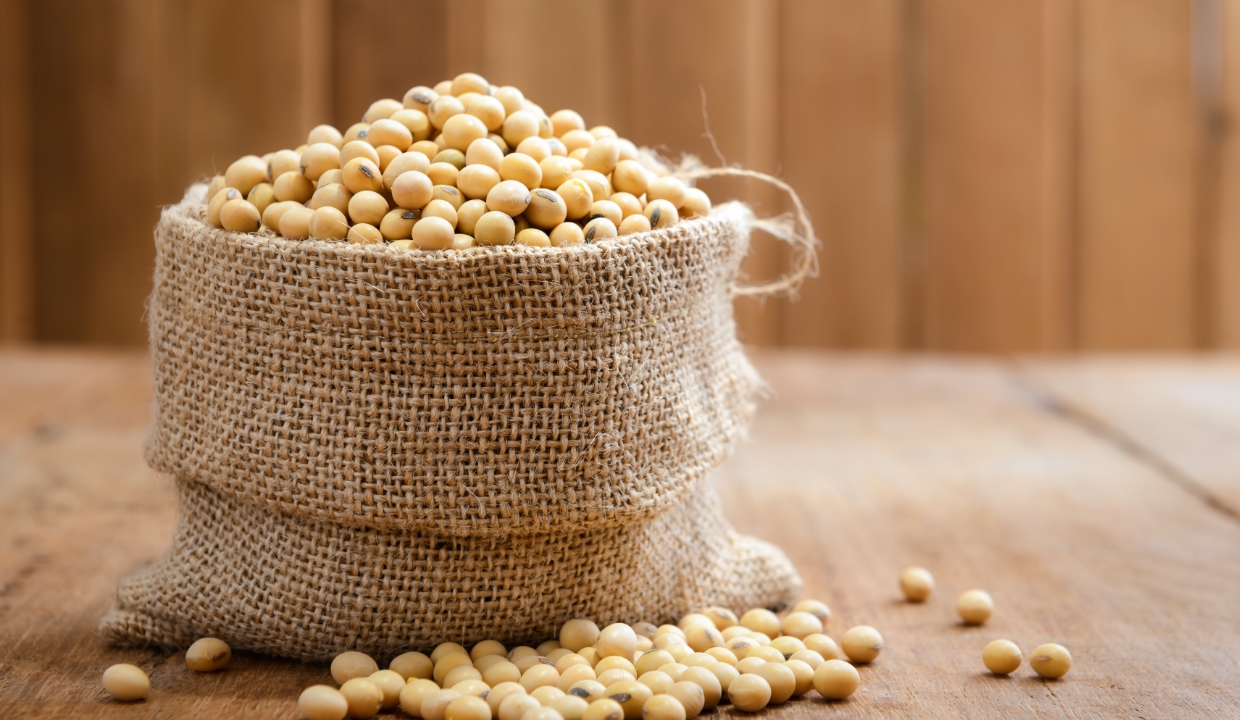 Soybeans in a woven bag