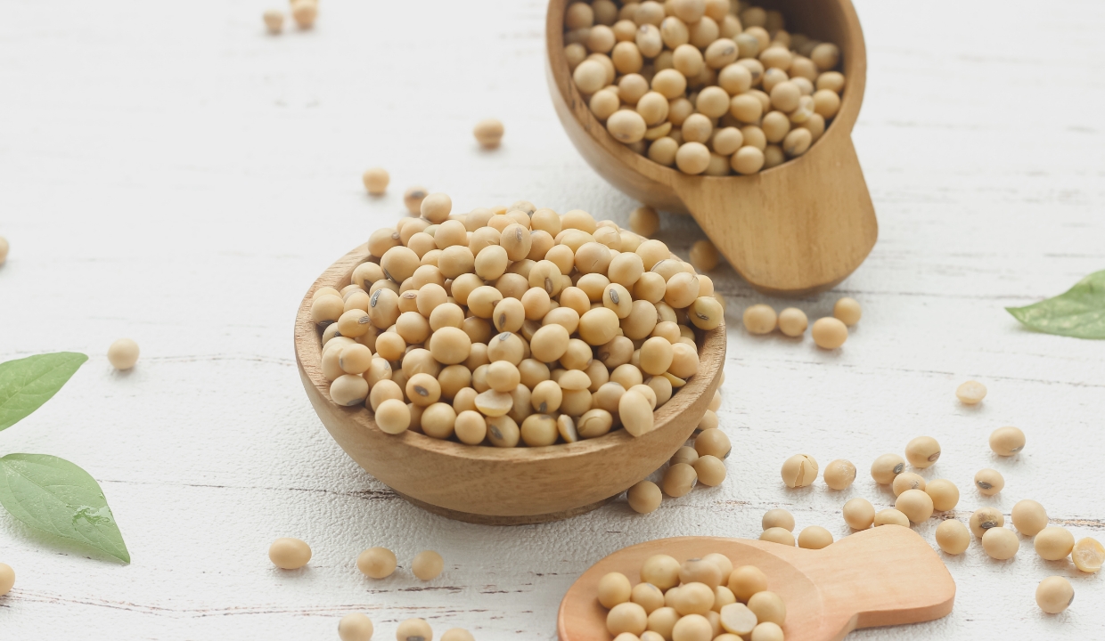 Whole soybeans in a bowl