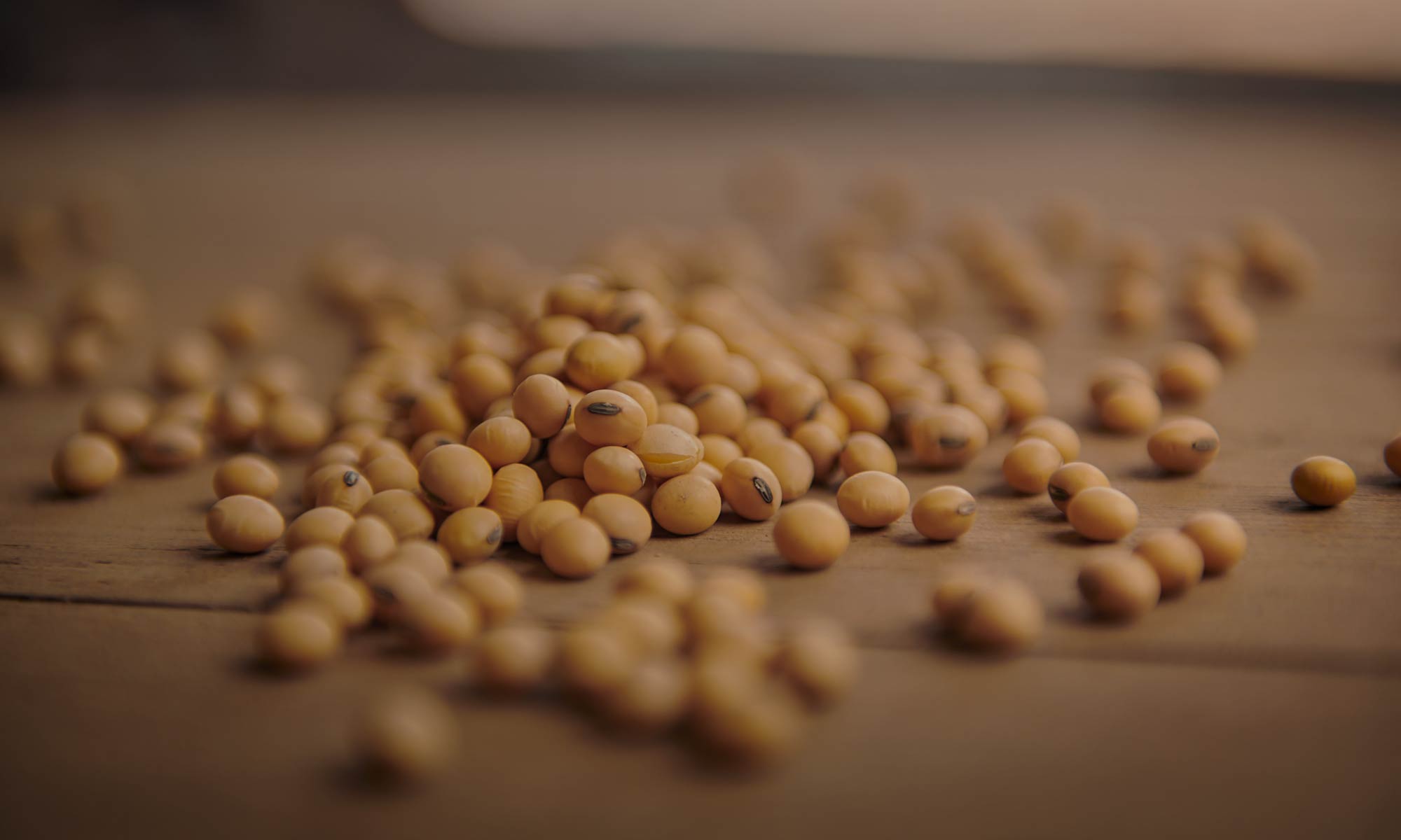 QUA-Website-Header-Soybeans