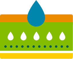Improved Water Use Efficiency Icon