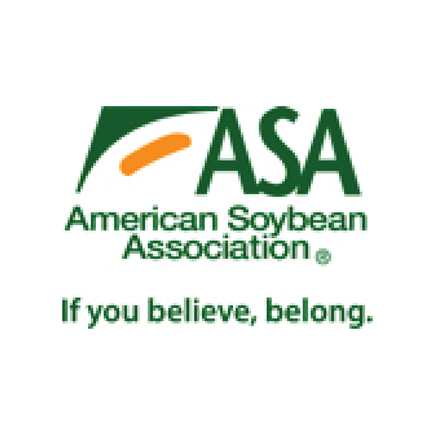 American Soybean Association