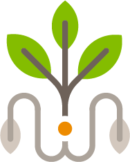 conservation tillage